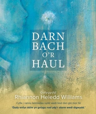 Darn Bach o'r Haul by Rhiannon Williams PAPERBACK (WELSH) 9781913996741