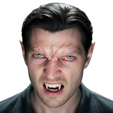 Vampire Brow 3d Fx Transfers Costume Accessory