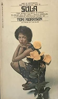 #ad Sula Toni Morrison $88.88
