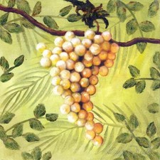 Ceramic Backsplash Tile Mural Fruit Kitchen/Bathroom - Sunshine Grapes IV