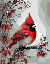 Christmas Paint by Number for Adults. Paint by Numbers for Adults Beginner Drawi