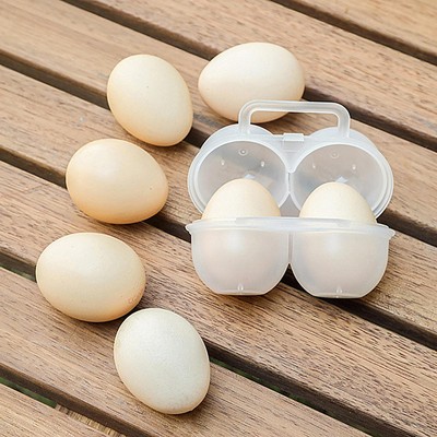 Portable Egg Box 2 Grid Egg Storage Container Shockproof Egg Organizer