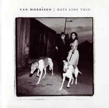 CD Van Morrison Days Like This Polydor
