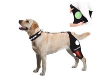 Dog Knee Brace for Torn ACL Hind Leg Support with Hot/Cold Compress, Left Leg XL