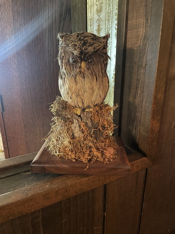 Vintage Jim Bradley Accents Realistic Owl Figure