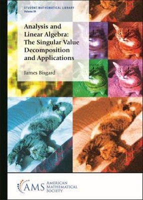 Analysis and Linear Algebra: The Singular Value Decomposition and Applications b
