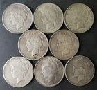 Lot of Eight $1 Peace Silver Dollars