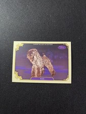 2024 Topps Allen & Ginter #SOS-36 Mick Stars Of The Show The Westminster