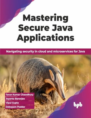 Mastering Secure Java Applications: Navigating security - Paperback NEW Chawdhur