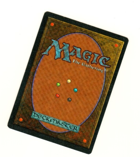 Llanowar Elves Chinese 4th Edition Mtg Single - Picture 2 of 4