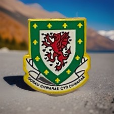 Football Association Of Wales (FAW) Enamel Lapel Badge. A18 148