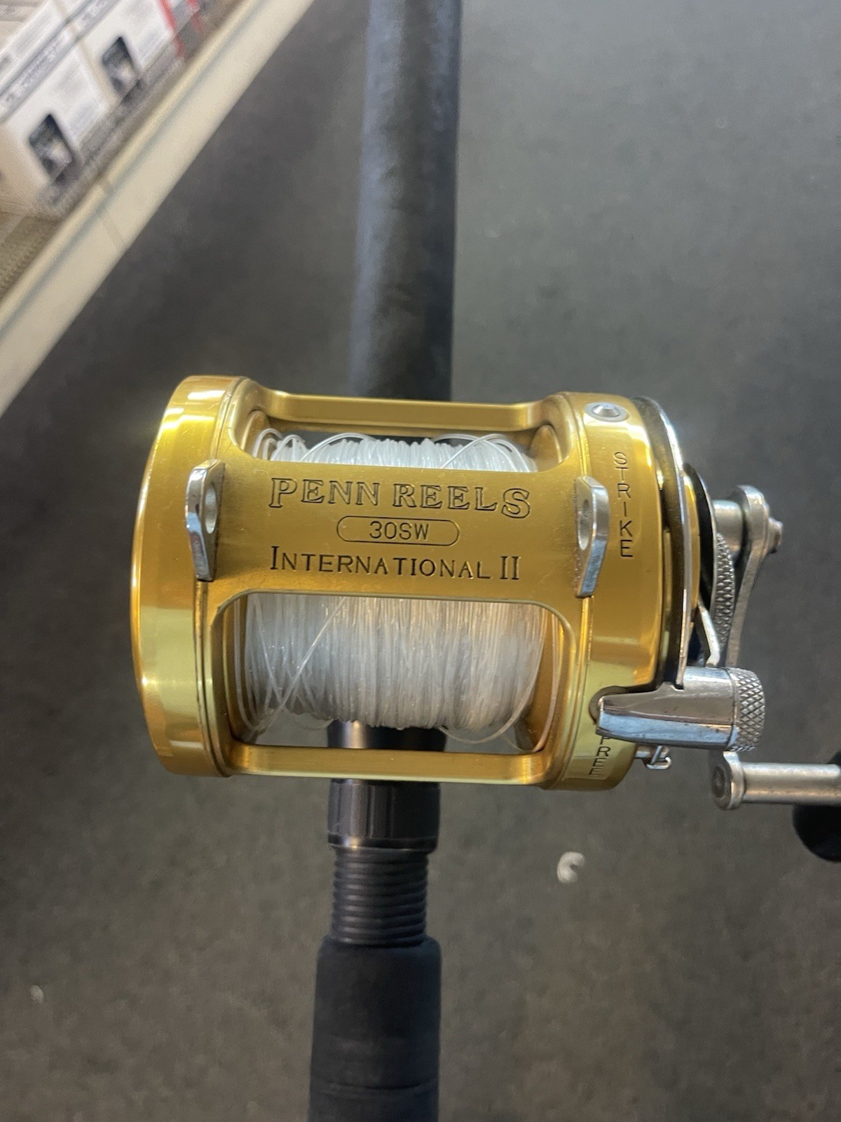 Penn International II 30SW 2-Speed Fishing Reel