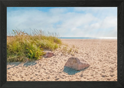 Kalmus Beach Cape Cod gerahmtes Wandbild Poster Leinwanddruck Bild