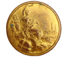 RASSEGNA AGRICOLA INDUSTRIALE COMMERCIALE - MEDAGLIA PROGRESSO ITALICO