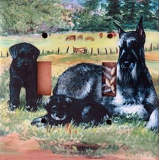 Giant Schnauzer Double Toggle light switch plate, made in the USA
