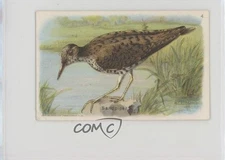 1933 Arm & Hammer Useful Birds of America Series 5 Sandpiper #4 7bt