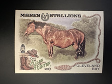 2019 Topps Allen & Ginter Cleveland Bay Horse #MS-12 Mares and Stallions