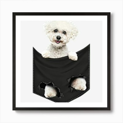 Bichon Frise Kunstdruck gerahmt Wandbild Poster Leinwanddruck Bild