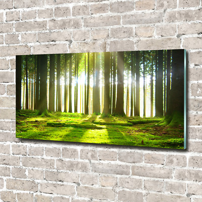 Glas-Bild Wandbilder Druck auf Glas 140x70 Deko Landschaften Wald in der Sonne