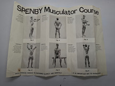Original Vintage Spenby Muscualtor Chart Vintage