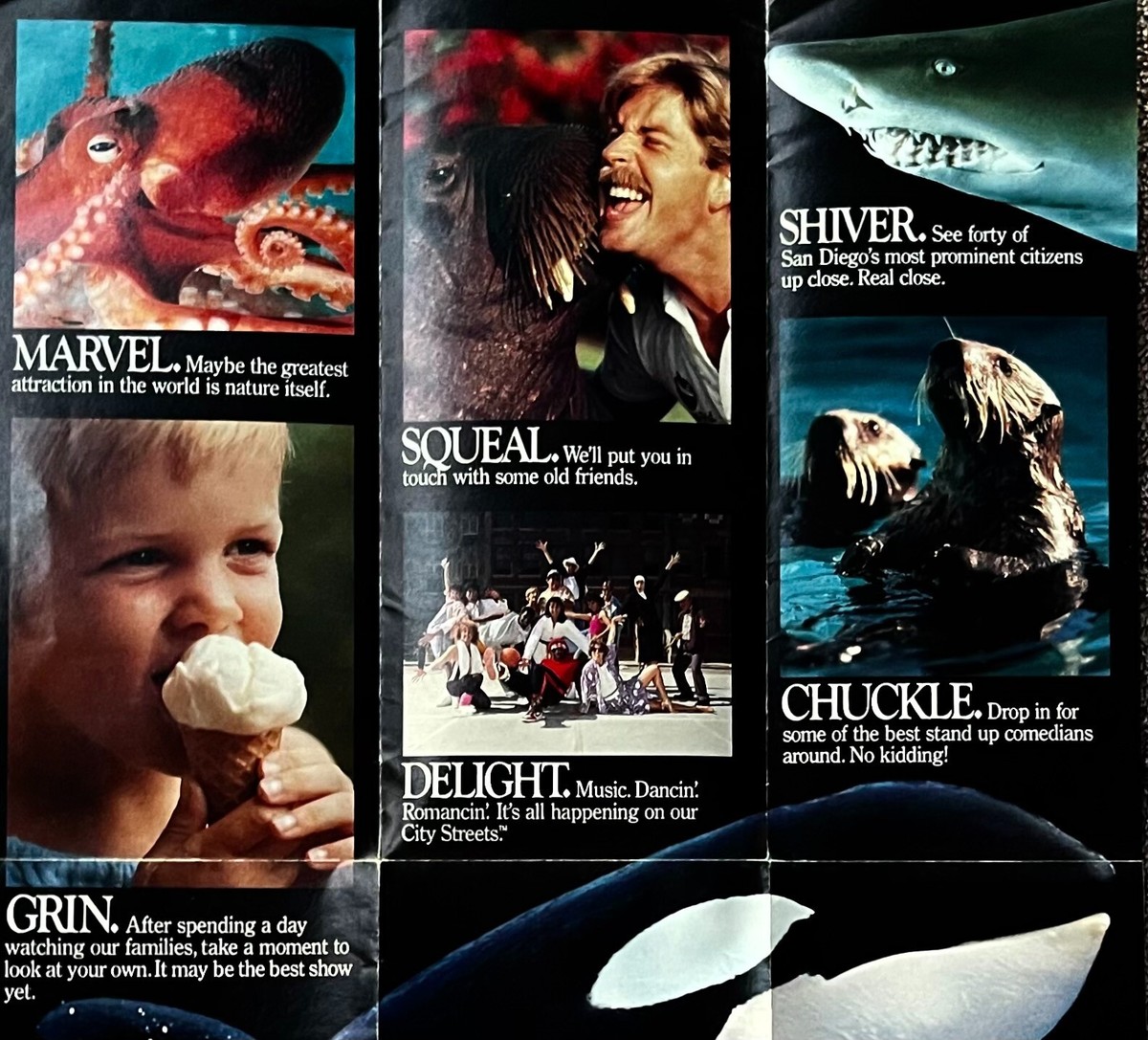 SEA WORLD Vintage BROCHURE | eBay