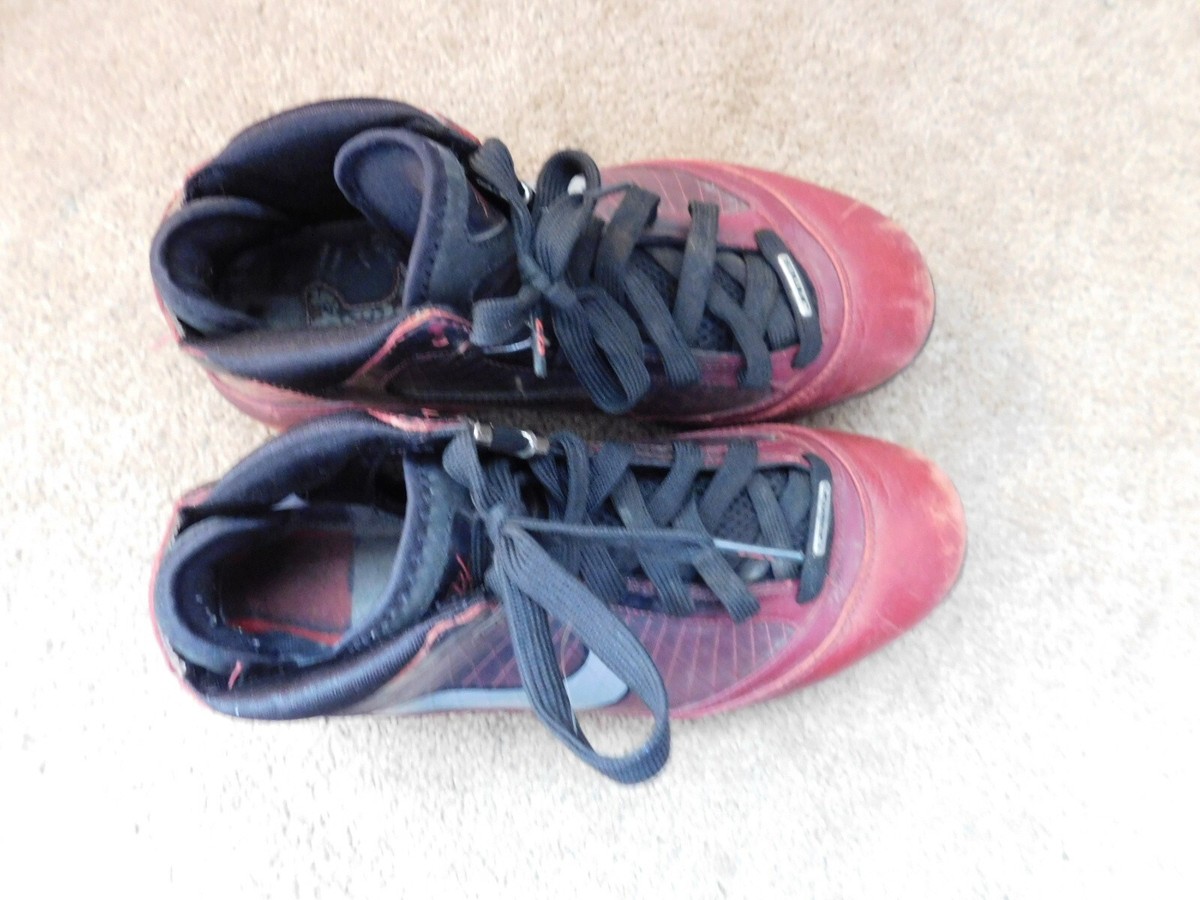 Nike AIR MAX LEBRON VII  display picture 1