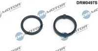 Dr.Motor Automotive Dichtungssatz, ÖLküHler FüR Opel