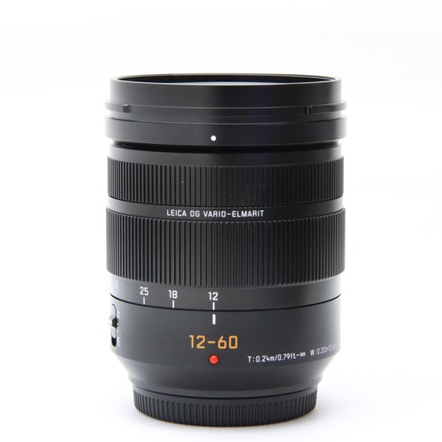 Panasonic LEICA DG VARIO-ELMARIT12-60mm F/2.8-4.0ASPH.POWEROIS #238