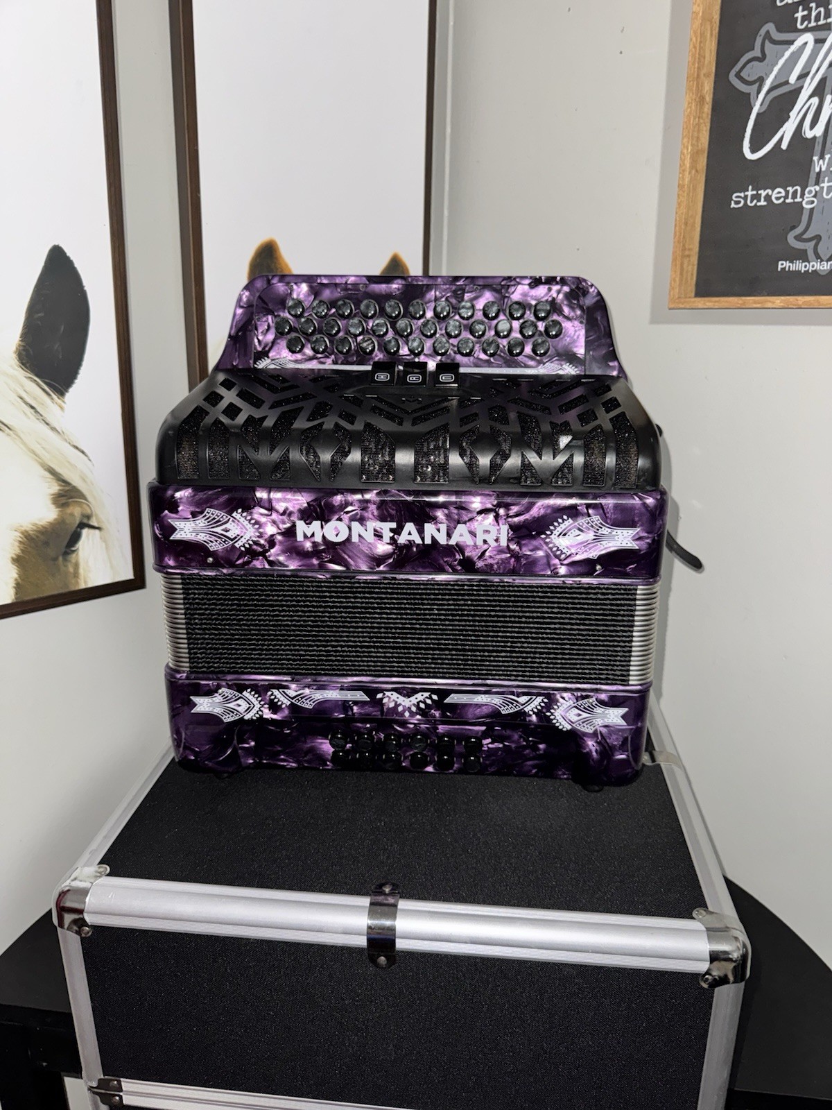 как выглядит Montanari Button Accordion 31/12 3-Register Purple/Black w/ Case tone FBE фото
