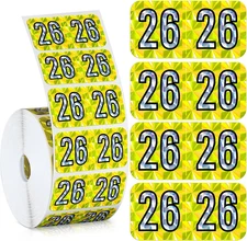 Teling 500 Pcs 2026 Year Stickers File Folder Labels Rectangle Coded Colored Yea