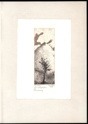 Buses, Petit. 1974. [Signed Original Color Etching].