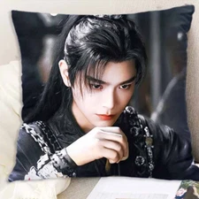 Chinese Yong Ye Xing He Ding Yuxi Bedroom Pillow Cushion 40*40cm
