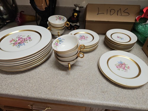 VINTAGE THEODORE HAVILAND CHINA SET  34 PCS