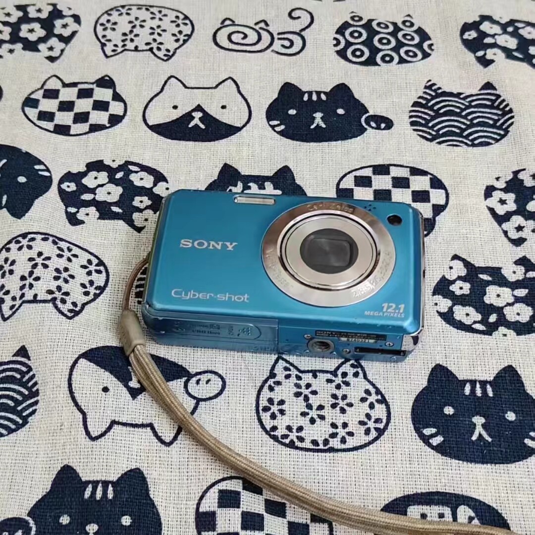 Sony Cyber-Shot DSC-W220 12.1MP CCD Vintage Digital Camera - 80
