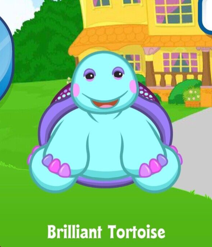 Webkinz Brilliant Tortoise VIRTUAL Pet Adoption (CODE ONLY) Messaged - Picture 1 of 1