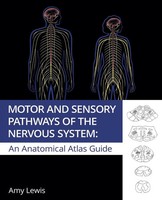 Amy Lewis | Motor And Sensory Pathways Of The Nervous System | Taschenbuch