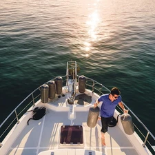 Polyform US 12" D Stainless Steel Single Rail Mount Fender Holder