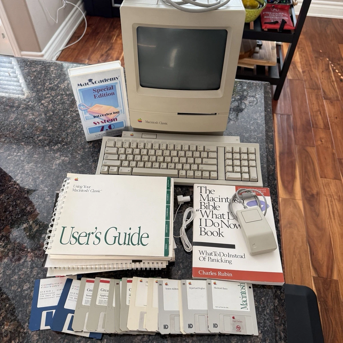 Apple Macintosh Classic Vintage Computers & Mainframes for sale - eBay