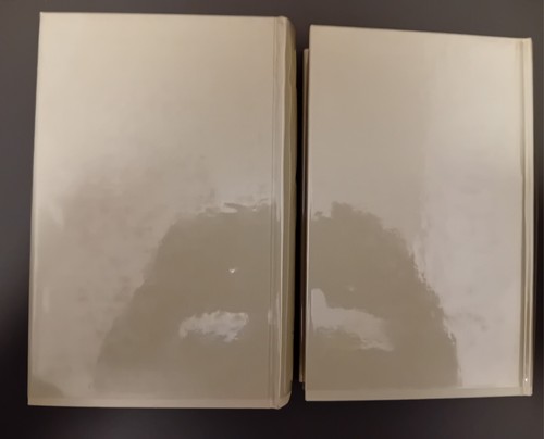 Ettore Bignone " L' ARISTOTELE PERDUTO E LA FORMAZIONE FILOSOFICA DI EPICURO" - Foto 2 di 2
