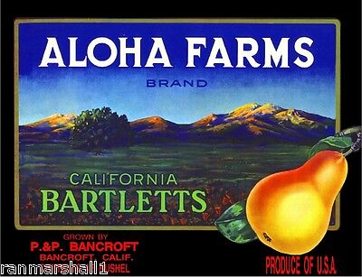 Bancroft Contra Costa Aloha Farms Bartlett Pear Fruit Crate Label Art Print