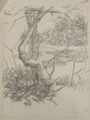 60er Jahre Original Kohle & Bleistiftzeichnung Skizze Landschaft mit Baum unsigniert