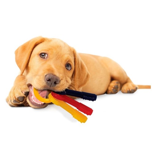 Puppy Teething Keys, Rings or Pacifiers Durable Dog Dental Health Chew Toys - Picture 45 of 63