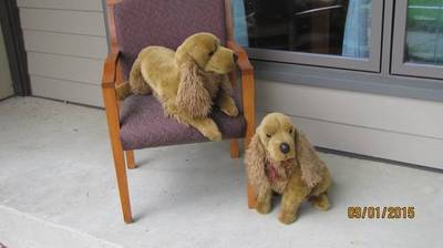 stuffed DOG Toy used only as a display a great pair !