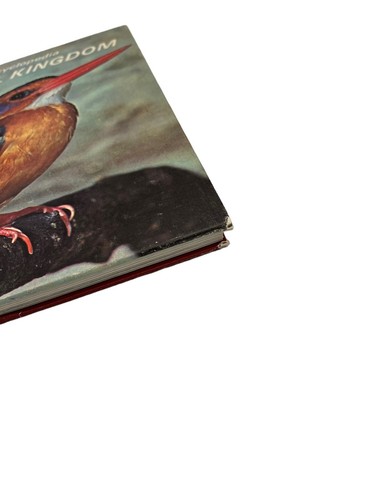 The Illustrated Encyclopedia Of The Animal Kingdom Book 7 Birds - Picture 10 of 13