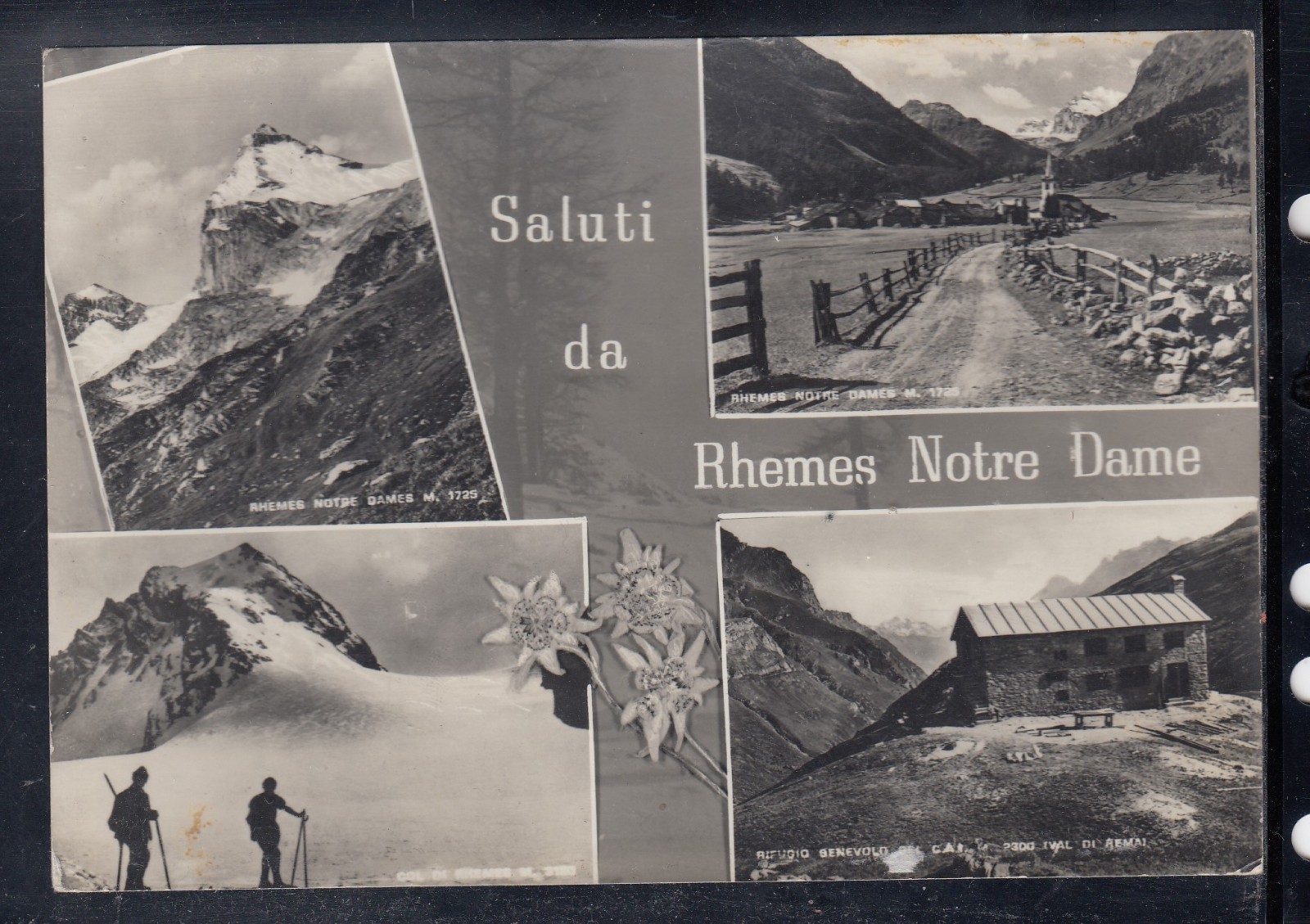 AK Gruss aus Rheme Notre Dame VEDUTEN B903