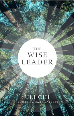 Wise Leader by Uli Chi (2024, Trade Paperback)