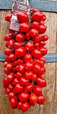 Semi di pomodoro Piennolo del Vesuvio, pomodoro Vesuvio, varietà rara
