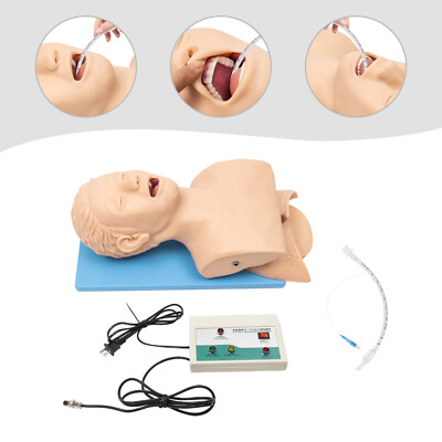 Intubation Manikin Teaching Model Adult Airway Management Trainer Tracheal Model