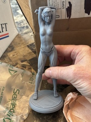 Unidentified 1/6 Scale Female Pin-Up Resin 3D Printed Figure Model Kit 7 1/2 