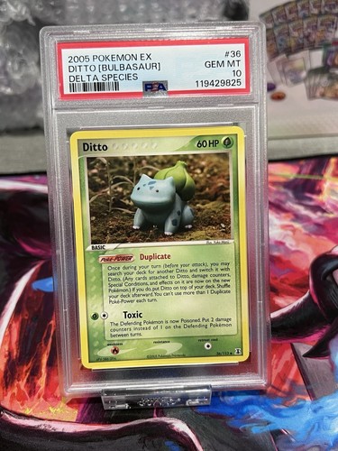 Ditto graded PSA 10 for sale on eBay